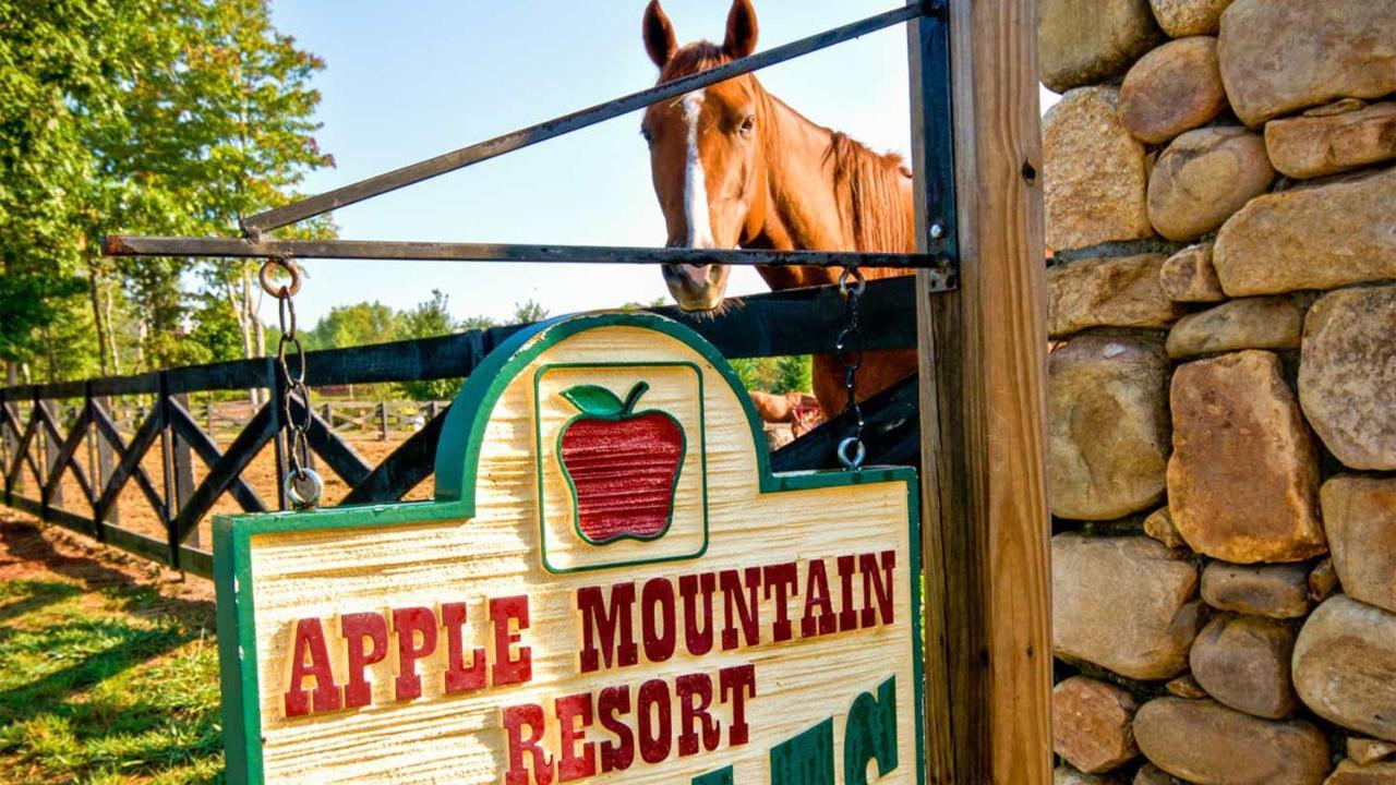 Holiday Inn Club Vacations Apple Mountain Resort At Clarkesville Exterior photo